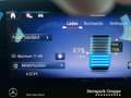 Mercedes-Benz EQA 300 EQA 300 4M Progressive +LED+Kamera+WinterP.+DC+ Schwarz - thumbnail 19