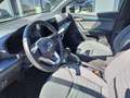 SEAT Arona Arona1.0 TSI 110 HP XPERIENCE DSG Grigio - thumbnail 8