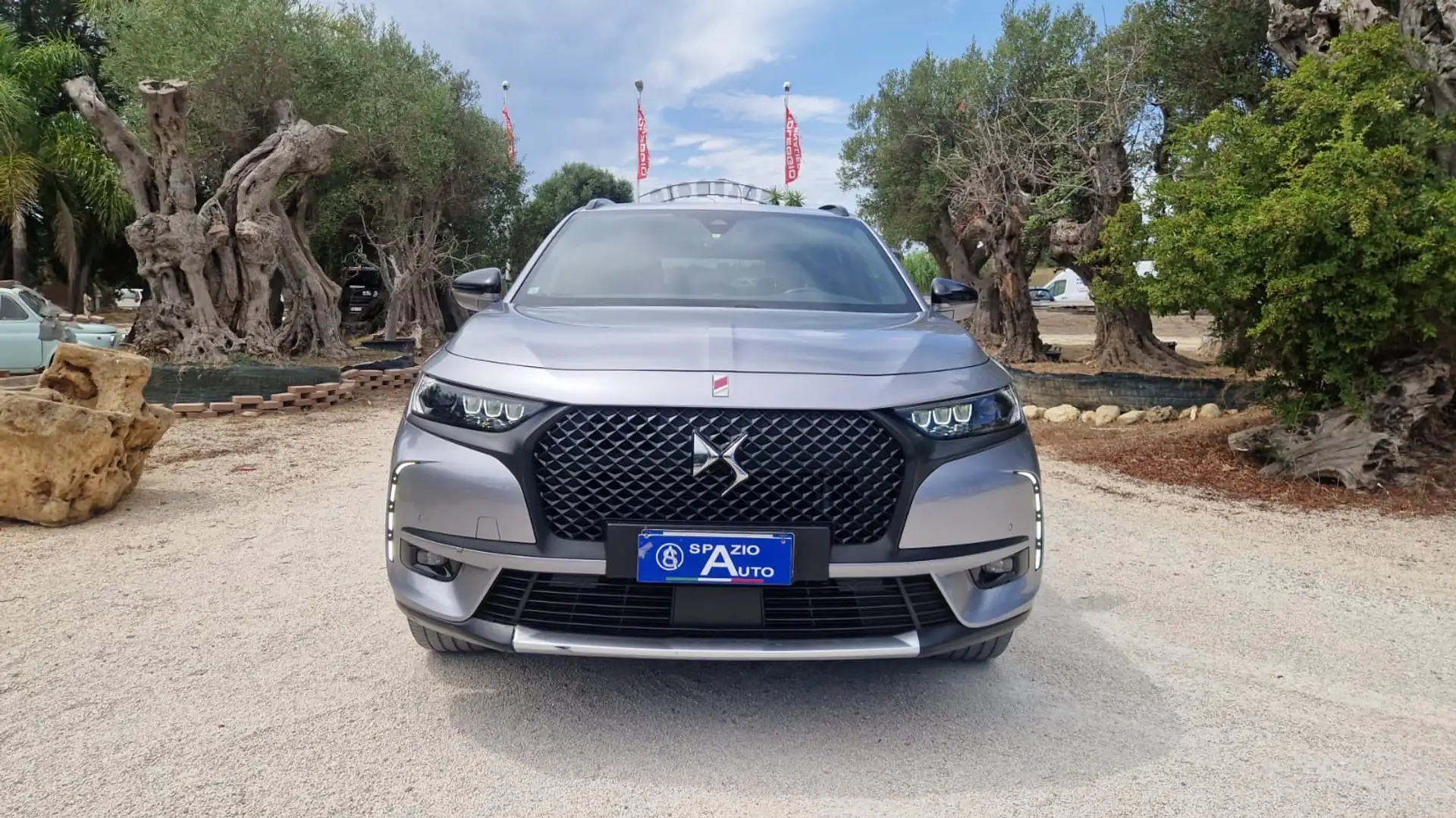 DS Automobiles DS 7 Crossback DS7 Crossback 1.5 bluehdi Performance Line 130cv Argento - 1