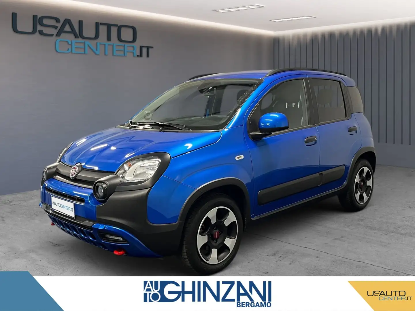 Fiat Panda Panda Cross 1.0 FireFly S&S Hybrid Bleu - 1