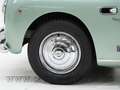 Oldtimer SiataDainaTrasformabileStabilimenteFarina'52CH0168 Verde - thumbnail 10