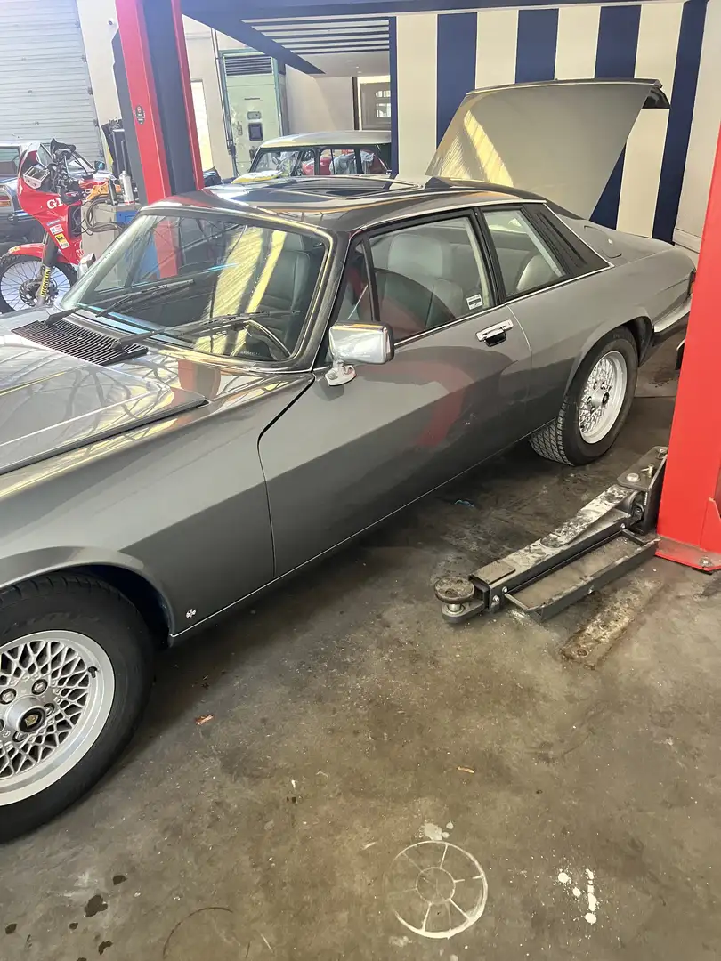 Jaguar XJS XJS 3.6 Grigio - 2