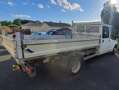 Ford Transit TRANSIT DBLE CAB PROPULSION 350 LJ TDCi 100 Blanc - thumbnail 2