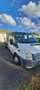 Ford Transit TRANSIT DBLE CAB PROPULSION 350 LJ TDCi 100 Blanc - thumbnail 1