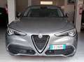 Alfa Romeo Stelvio Stelvio 2.2 t Business Q4 190cv auto my19 Grigio - thumbnail 1