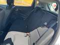Renault Clio CLIO DYNAMIQUE 1.5 dCi 75CV AUTOCARRO Bianco - thumbnail 13