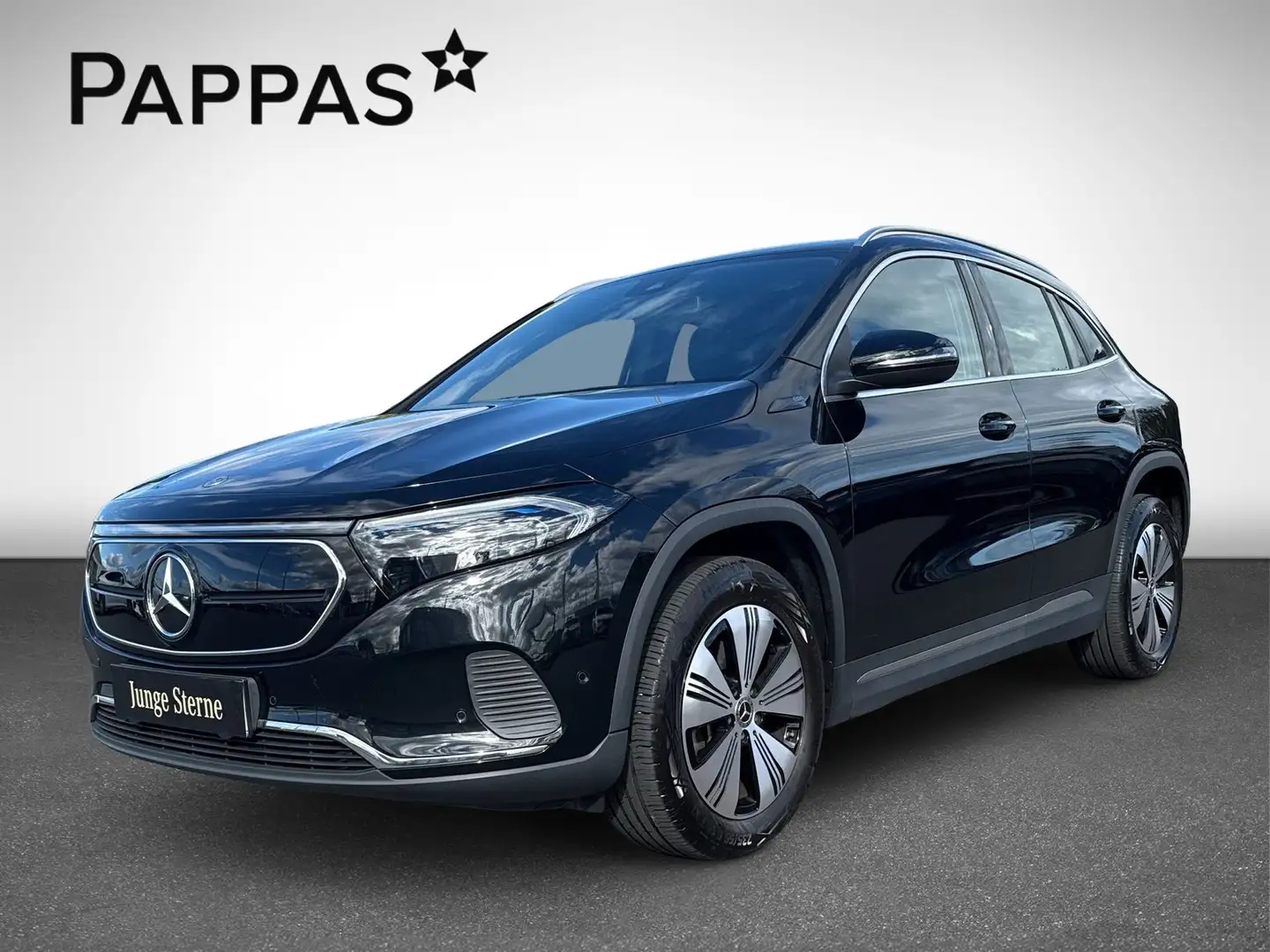 Mercedes-Benz EQA 250 Navi PTS SHZ LED EASY-PACK Wide Cam Schwarz - 2