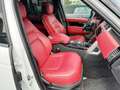 Land Rover Range Rover 5.0 V8 SC Vogue//FULL FULL OPTIONS-TOIT PANO// Wit - thumbnail 13