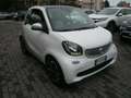 smart forTwo Fortwo 1.0 Passion 71cv Neopatentati Blanc - thumbnail 3