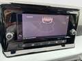 SEAT Ibiza Reference Edition 1.0 80PS Blau - thumbnail 16