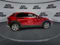 Mazda CX-30 2.0 SKYACTIV-G M Hybrid Selection 2WD Rouge - thumbnail 9