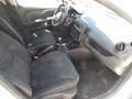 Renault Clio 1.5 DCI 5 drs - airco - nieuwe apk -inruilkoopje - Wit - thumbnail 4