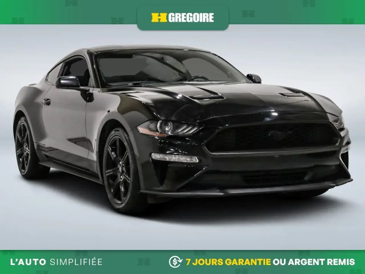 2019 Ford Mustang