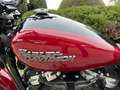 Harley-Davidson Street Bob Rosso - thumbnail 9