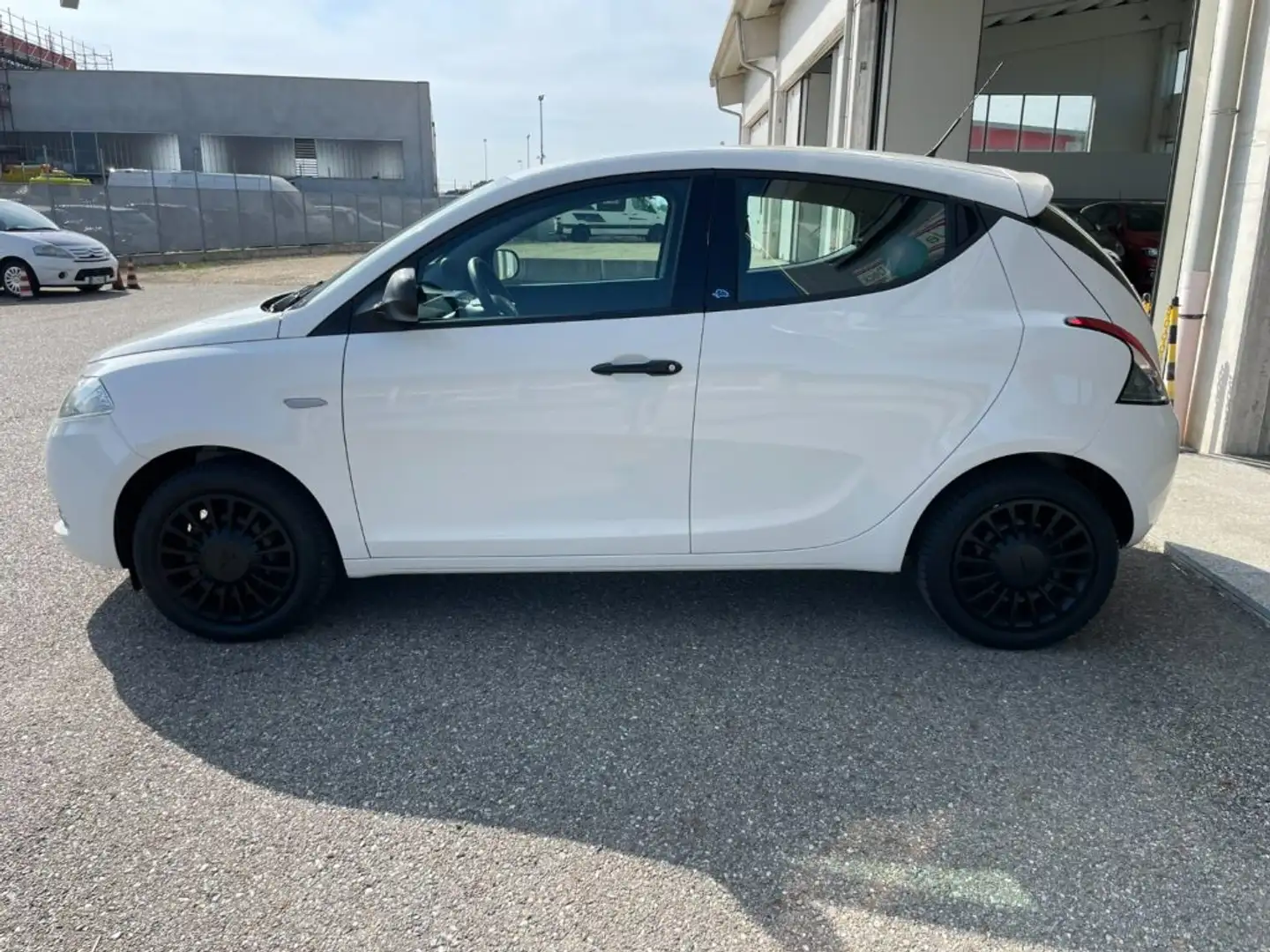 Lancia Ypsilon 1.2 69 CV 5 porte Elefantino Blu Bianco - 2