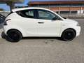 Lancia Ypsilon 1.2 69 CV 5 porte Elefantino Blu Bianco - thumbnail 4