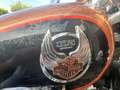 Harley-Davidson Sportster 1200 105 anniversary Brąz - thumbnail 7