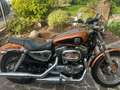 Harley-Davidson Sportster 1200 105 anniversary Bronz - thumbnail 1