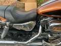 Harley-Davidson Sportster 1200 105 anniversary Bronzová - thumbnail 9