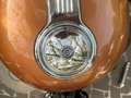 Harley-Davidson Sportster 1200 105 anniversary Bronz - thumbnail 6