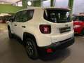 Jeep Renegade Renegade 1.6 Sport Neopatentati Euro 6 Bianco - thumbnail 4