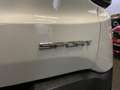 Jeep Renegade Renegade 1.6 Sport Neopatentati Euro 6 Bianco - thumbnail 5