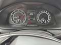 Skoda Kamiq 1,0 TSI Ambition, Anhängerkupplung, Sitzhzg. Weiß - thumbnail 19