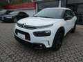 Citroen C4 Cactus BlueHDi 100 S&S OK NEOPATENTATI Bianco - thumbnail 3