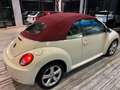 Volkswagen New Beetle 1.6 CABRIO BI-FUEL GPL/UNICA PROP/GARANZIA! Bianco - thumbnail 7