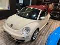 Volkswagen New Beetle 1.6 CABRIO BI-FUEL GPL/UNICA PROP/GARANZIA! Bianco - thumbnail 3