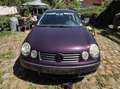 Volkswagen Polo Polo Classic 75 Violett - thumbnail 7