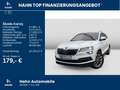 Skoda Karoq 1.5 TSI Clever Navi Pano LED SmartLink Weiß - thumbnail 2