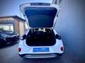 Ford Puma 1,0 EcoBoost Hybrid Titanium TEMPOMAT/LENKRADHE... Weiß - thumbnail 14