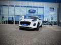 Ford Puma 1,0 EcoBoost Hybrid Titanium TEMPOMAT/LENKRADHE... Weiß - thumbnail 1