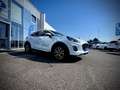 Ford Puma 1,0 EcoBoost Hybrid Titanium TEMPOMAT/LENKRADHE... Weiß - thumbnail 5