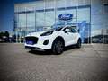 Ford Puma 1,0 EcoBoost Hybrid Titanium TEMPOMAT/LENKRADHE... Weiß - thumbnail 2