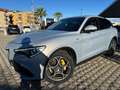 Alfa Romeo Stelvio Stelvio 2.2 Turbodiesel 190 CV AT8 Q4 Sprint Gris - thumbnail 7
