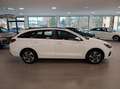Hyundai i30 Kombi 1,5 DPI Go! *LED*Navi*Klima* Weiß - thumbnail 6