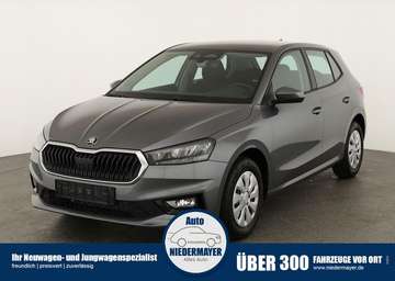 1.0 TSI Selection, Park, Winterpaket, SmartLink, 4