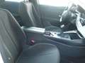 Peugeot 308 Nuevo 5P Active Pack BlueHDi 130 S&amp;S MAN Blanc - thumbnail 16