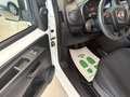 Fiat Fiorino FIAT Fiorino 22021Fiorino 1.3 MJT 95CV Cargo SX Bianco - thumbnail 8
