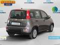 Fiat Panda 1.0+Hybrid+GSE+51+kW+%2870+CV%29 Gris - thumbnail 4