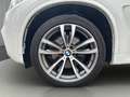BMW X5 xDrive40d Österreich-Paket Aut. Weiß - thumbnail 15