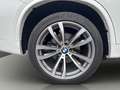 BMW X5 xDrive40d Österreich-Paket Aut. Weiß - thumbnail 14