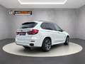BMW X5 xDrive40d Österreich-Paket Aut. Weiß - thumbnail 11