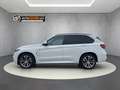 BMW X5 xDrive40d Österreich-Paket Aut. Weiß - thumbnail 6