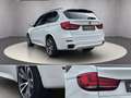 BMW X5 xDrive40d Österreich-Paket Aut. Weiß - thumbnail 10