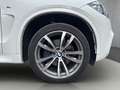 BMW X5 xDrive40d Österreich-Paket Aut. Weiß - thumbnail 13