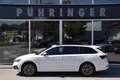 Skoda Octavia 2.0 TDI DPF Business (EURO 6d-TEMP) Weiß - thumbnail 1