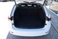 Skoda Octavia 2.0 TDI DPF Business (EURO 6d-TEMP) Weiß - thumbnail 16